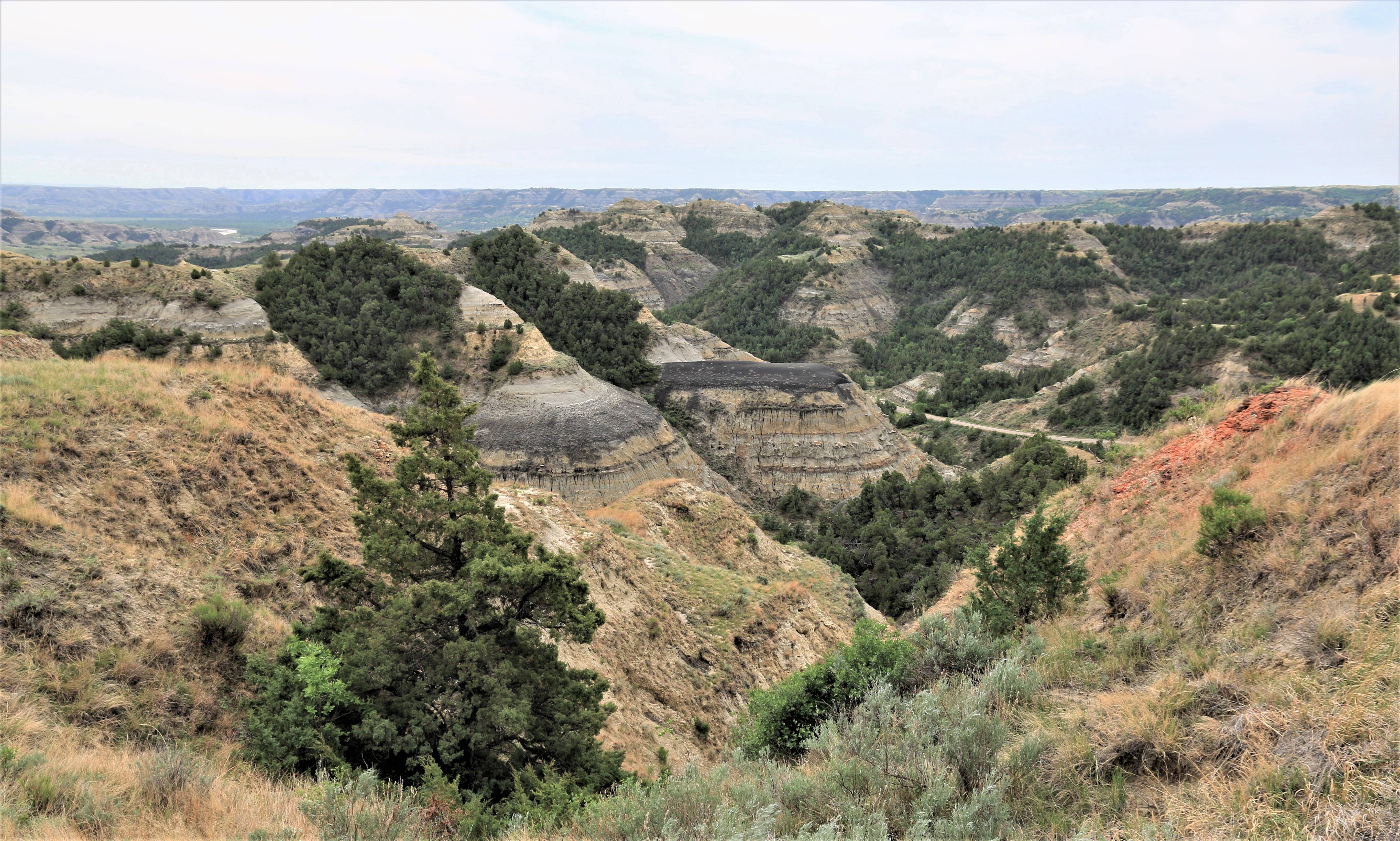 Theodore Roosevelt NP